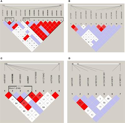 The susceptibility of single nucleotide polymorphisms located within co-stimulatory pathways to systemic lupus erythematosus